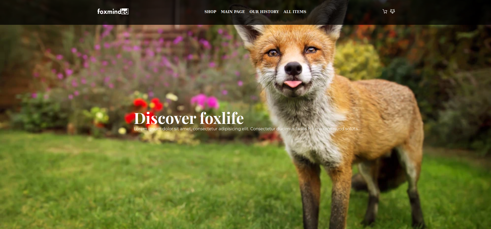 Fox Store